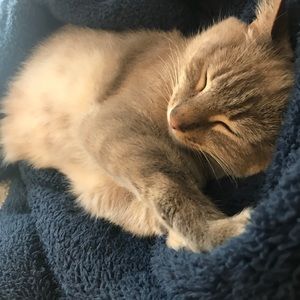 Meet your Posher, Olivia